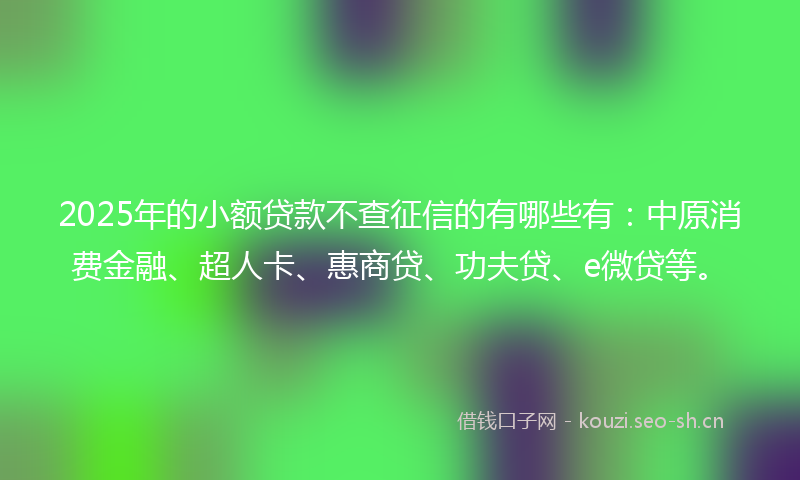 2025年的小额贷款不查征信的有哪些有：中原消费金融、超人卡、惠商贷、功夫贷、e微贷等。