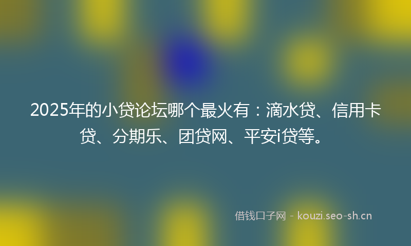 2025年的小贷论坛哪个最火有：滴水贷、信用卡贷、分期乐、团贷网、平安i贷等。