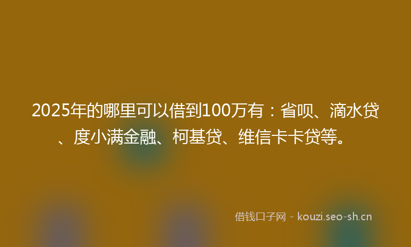 2025年的哪里可以借到100万有：省呗、滴水贷、度小满金融、柯基贷、维信卡卡贷等。