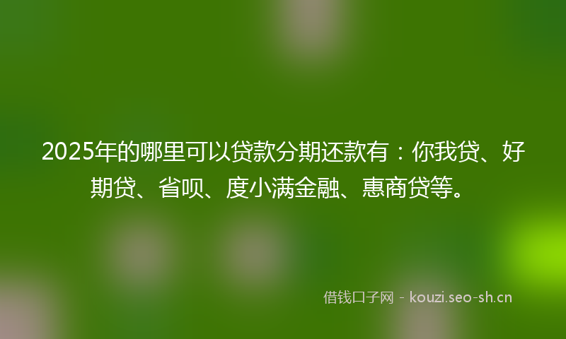 2025年的哪里可以贷款分期还款有：你我贷、好期贷、省呗、度小满金融、惠商贷等。