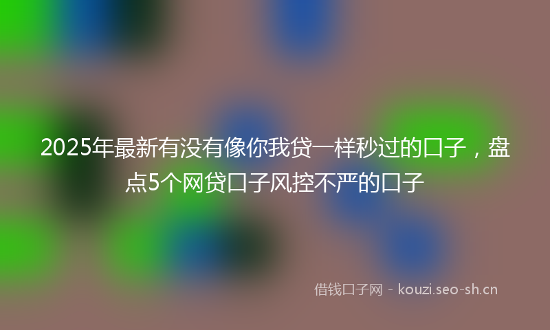 2025年最新有没有像你我贷一样秒过的口子，盘点5个网贷口子风控不严的口子
