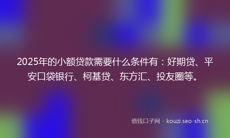 2025年的小额贷款需要什么条件有：好期贷、平安口袋银行、柯基贷、东方汇、投友圈等。