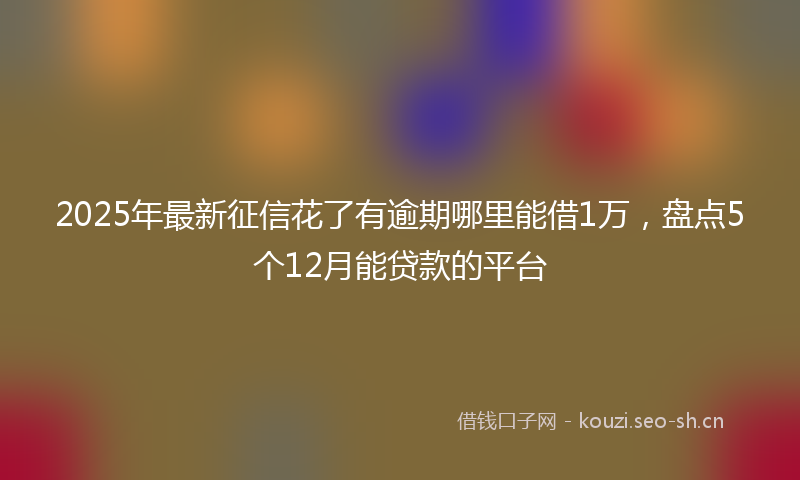 2025年最新征信花了有逾期哪里能借1万，盘点5个12月能贷款的平台