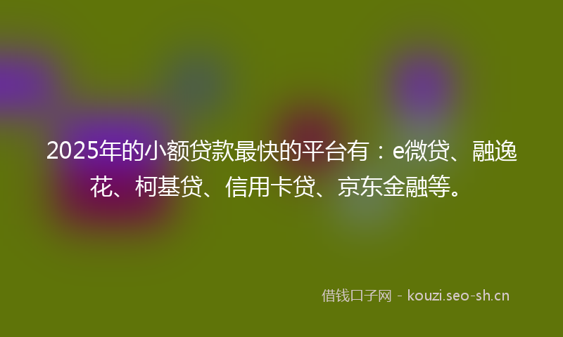 2025年的小额贷款最快的平台有：e微贷、融逸花、柯基贷、信用卡贷、京东金融等。
