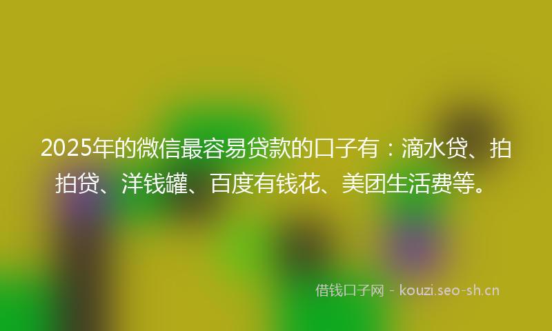 2025年的微信最容易贷款的口子有：滴水贷、拍拍贷、洋钱罐、百度有钱花、美团生活费等。