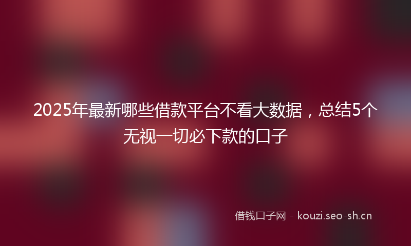 2025年最新哪些借款平台不看大数据,总结5个无视一切必下款的口子