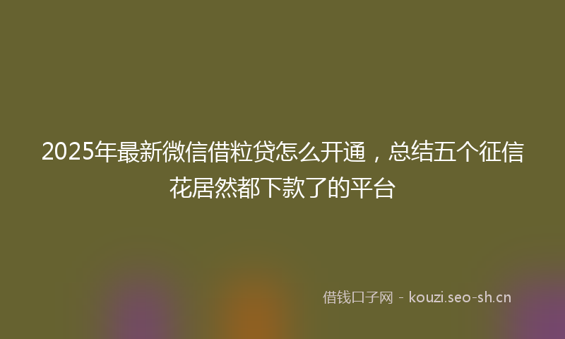 2025年最新微信借粒贷怎么开通，总结五个征信花居然都下款了的平台