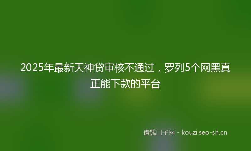 2025年最新天神贷审核不通过，罗列5个网黑真正能下款的平台