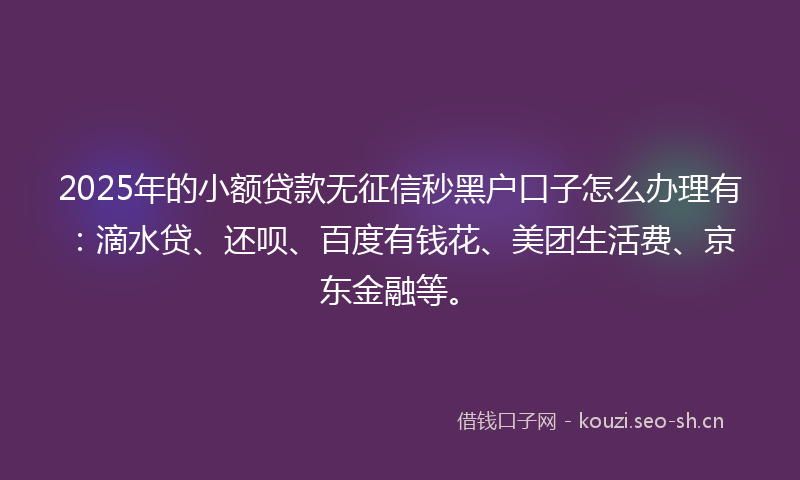 2025年的小额贷款无征信秒黑户口子怎么办理有：滴水贷、还呗、百度有钱花、美团生活费、京东金融等。