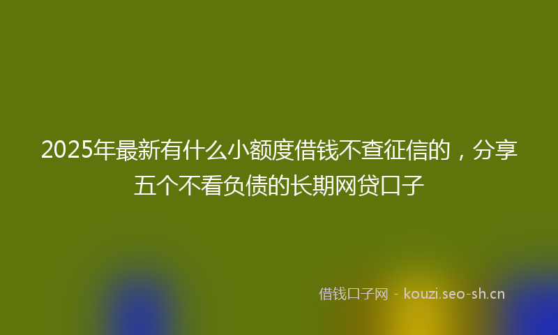 2025年最新有什么小额度借钱不查征信的，分享五个不看负债的长期网贷口子