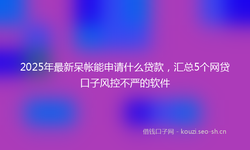 2025年最新呆帐能申请什么贷款，汇总5个网贷口子风控不严的软件