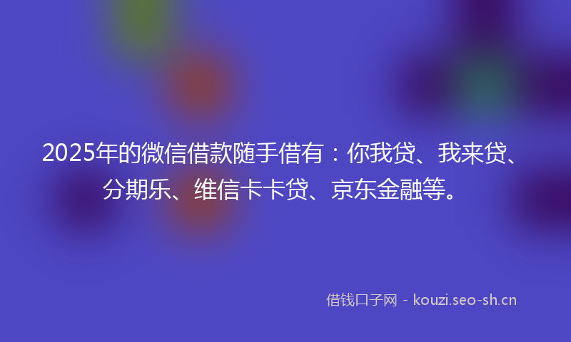2025年的微信借款随手借有：你我贷、我来贷、分期乐、维信卡卡贷、京东金融等。