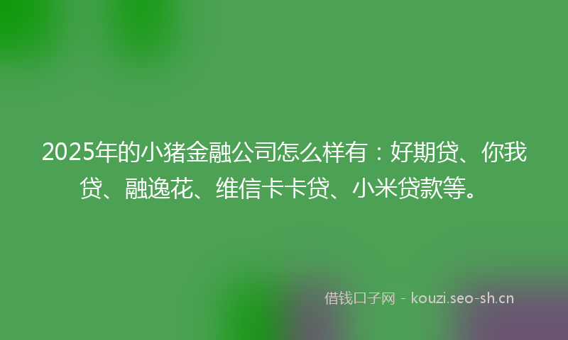 2025年的小猪金融公司怎么样有：好期贷、你我贷、融逸花、维信卡卡贷、小米贷款等。