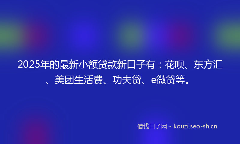 2025年的最新小额贷款新口子有：花呗、东方汇、美团生活费、功夫贷、e微贷等。