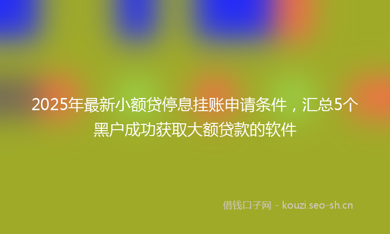 2025年最新小额贷停息挂账申请条件，汇总5个黑户成功获取大额贷款的软件