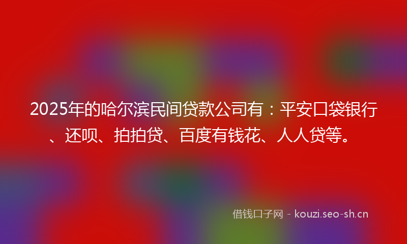 2025年的哈尔滨民间贷款公司有：平安口袋银行、还呗、拍拍贷、百度有钱花、人人贷等。