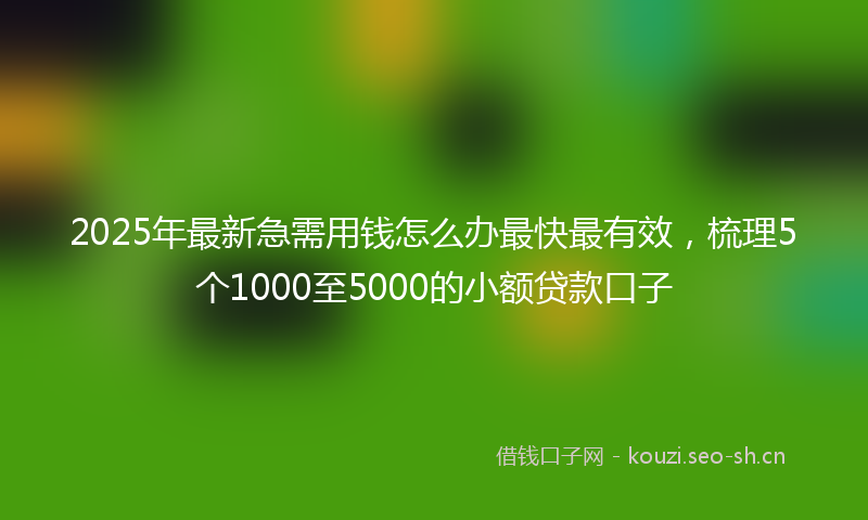 2025年最新急需用钱怎么办最快最有效，梳理5个1000至5000的小额贷款口子