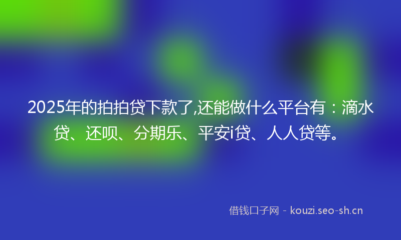 2025年的拍拍贷下款了,还能做什么平台有：滴水贷、还呗、分期乐、平安i贷、人人贷等。