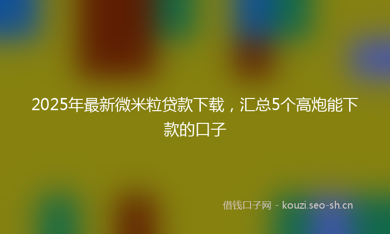 2025年最新微米粒贷款下载，汇总5个高炮能下款的口子