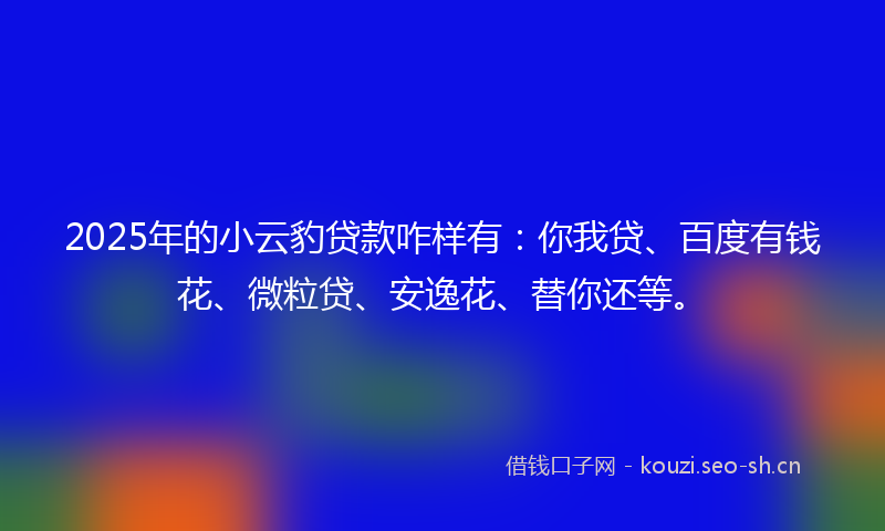 2025年的小云豹贷款咋样有：你我贷、百度有钱花、微粒贷、安逸花、替你还等。