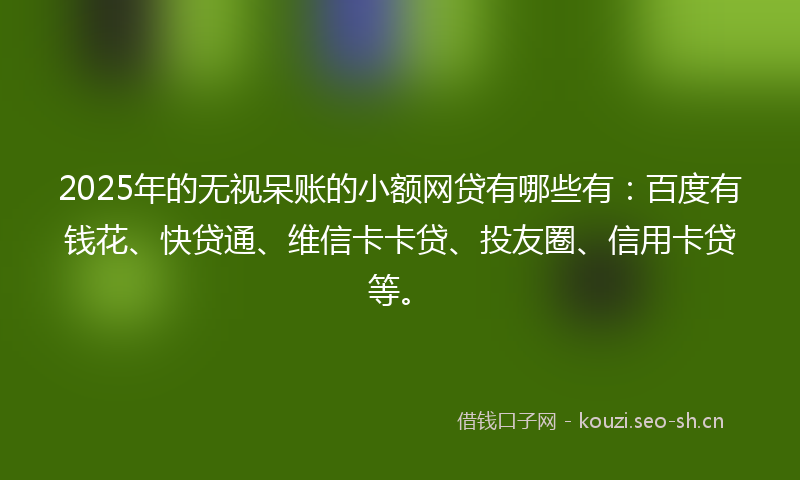 2025年的无视呆账的小额网贷有哪些有：百度有钱花、快贷通、维信卡卡贷、投友圈、信用卡贷等。
