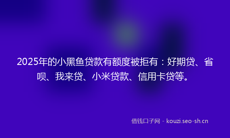 2025年的小黑鱼贷款有额度被拒有：好期贷、省呗、我来贷、小米贷款、信用卡贷等。