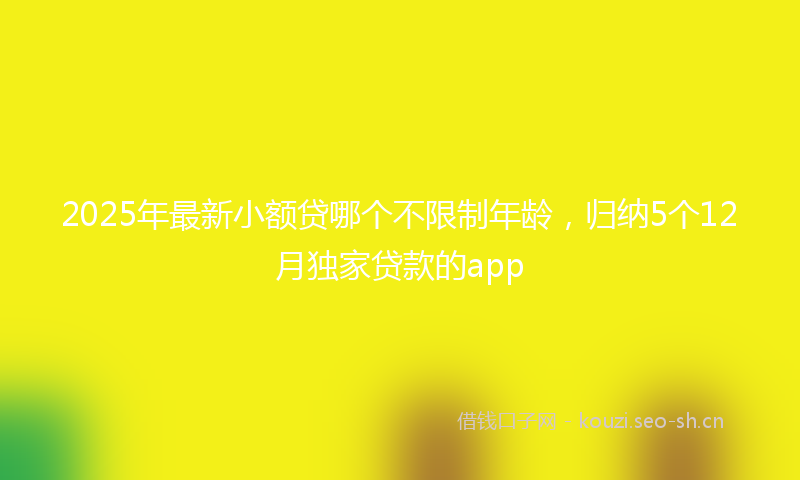 2025年最新小额贷哪个不限制年龄,归纳5个12月独家贷款的app