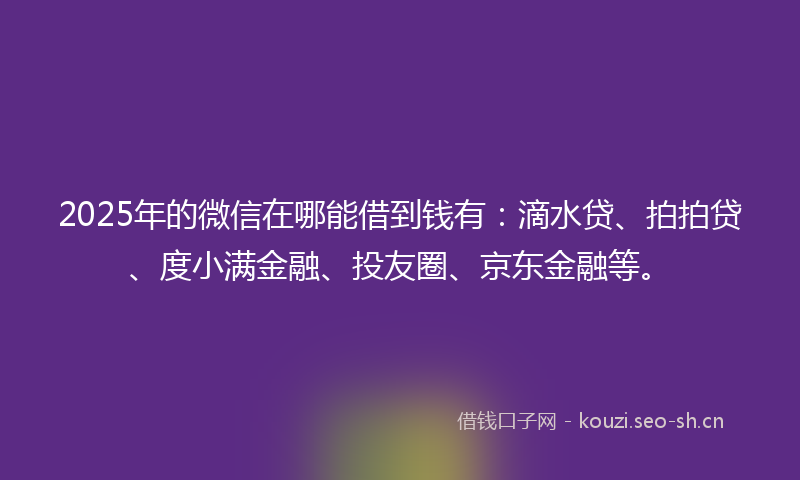 2025年的微信在哪能借到钱有：滴水贷、拍拍贷、度小满金融、投友圈、京东金融等。
