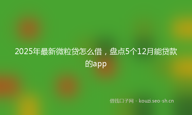 2025年最新微粒贷怎么借，盘点5个12月能贷款的app