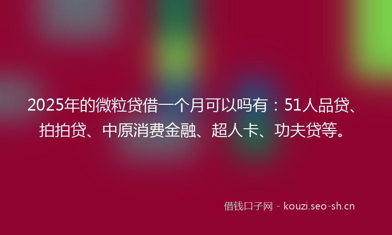 2025年的微粒贷借一个月可以吗有：51人品贷、拍拍贷、中原消费金融、超人卡、功夫贷等。