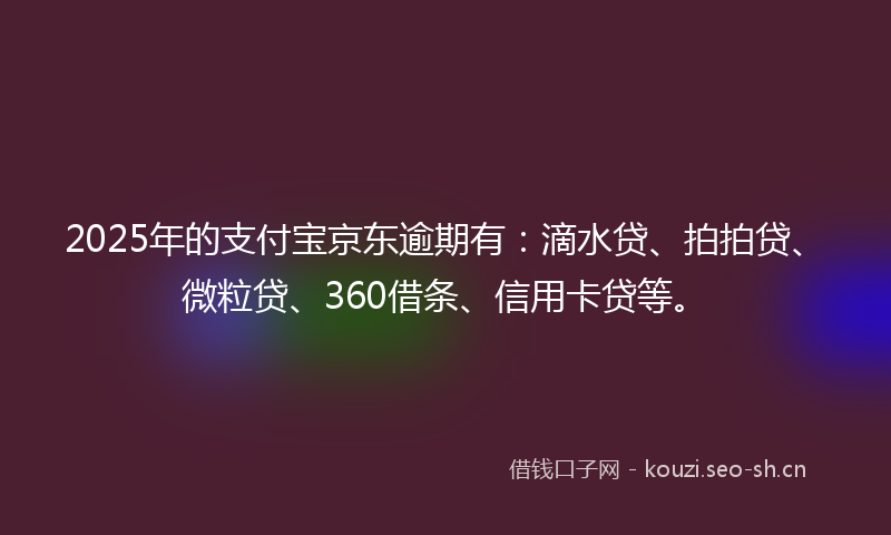 2025年的支付宝京东逾期有：滴水贷、拍拍贷、微粒贷、360借条、信用卡贷等。