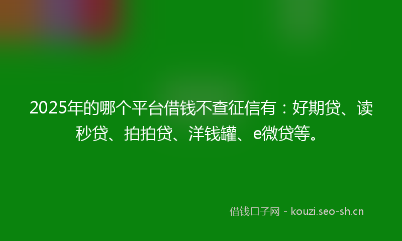 2025年的哪个平台借钱不查征信有：好期贷、读秒贷、拍拍贷、洋钱罐、e微贷等。