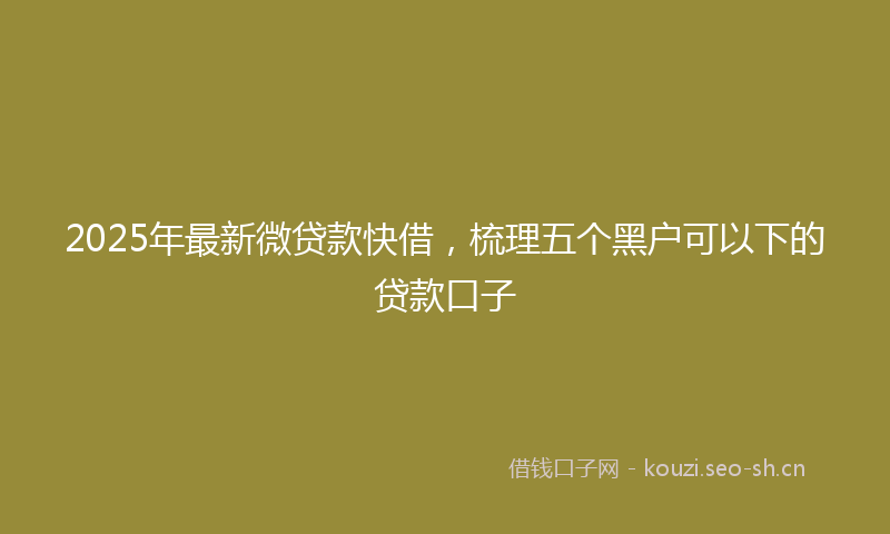 2025年最新微贷款快借，梳理五个黑户可以下的贷款口子