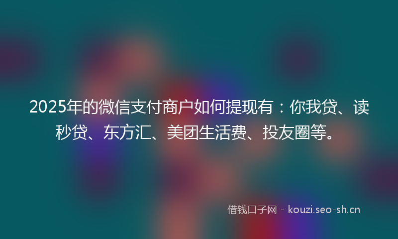 2025年的微信支付商户如何提现有：你我贷、读秒贷、东方汇、美团生活费、投友圈等。
