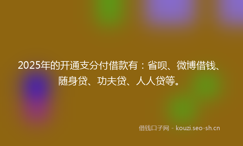 2025年的开通支分付借款有：省呗、微博借钱、随身贷、功夫贷、人人贷等。