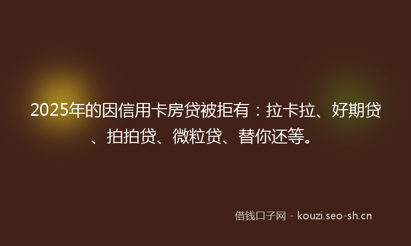 2025年的因信用卡房贷被拒有:拉卡拉、好期贷、拍拍贷、微粒贷、替你还等。