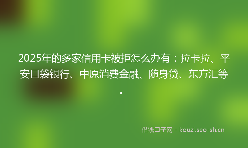 2025年的多家信用卡被拒怎么办有：拉卡拉、平安口袋银行、中原消费金融、随身贷、东方汇等。
