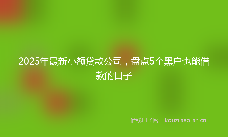 2025年最新小额贷款公司，盘点5个黑户也能借款的口子