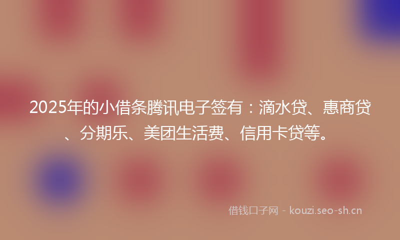 2025年的小借条腾讯电子签有：滴水贷、惠商贷、分期乐、美团生活费、信用卡贷等。