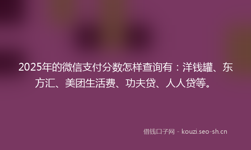 2025年的微信支付分数怎样查询有：洋钱罐、东方汇、美团生活费、功夫贷、人人贷等。