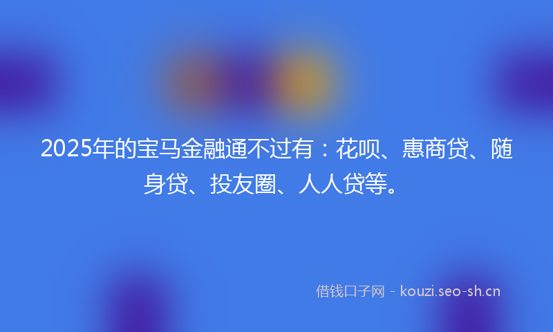 2025年的宝马金融通不过有：花呗、惠商贷、随身贷、投友圈、人人贷等。