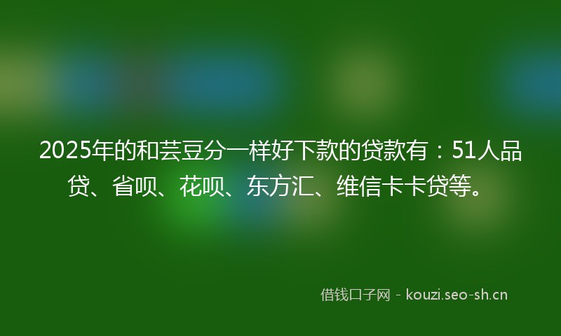 2025年的和芸豆分一样好下款的贷款有:51人品贷、省呗、花呗、东方汇、维信卡卡贷等。
