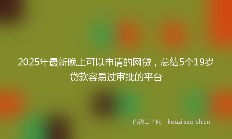 2025年最新晚上可以申请的网贷，总结5个19岁贷款容易过审批的平台