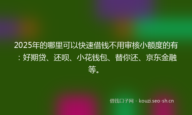 2025年的哪里可以快速借钱不用审核小额度的有：好期贷、还呗、小花钱包、替你还、京东金融等。