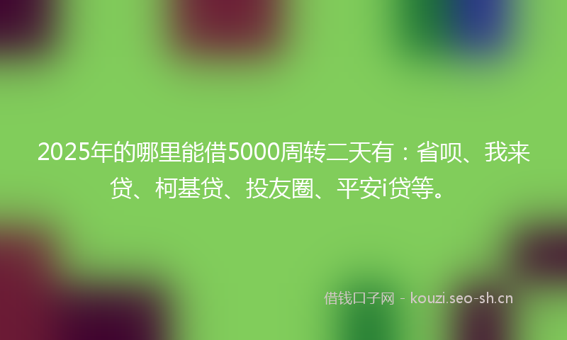 2025年的哪里能借5000周转二天有：省呗、我来贷、柯基贷、投友圈、平安i贷等。