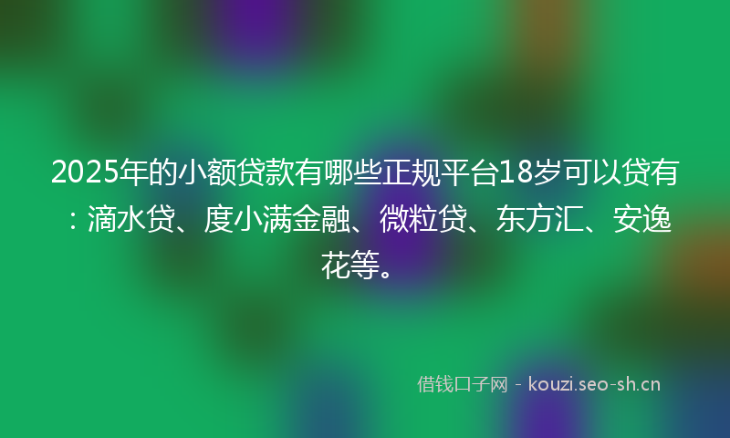 2025年的小额贷款有哪些正规平台18岁可以贷有：滴水贷、度小满金融、微粒贷、东方汇、安逸花等。