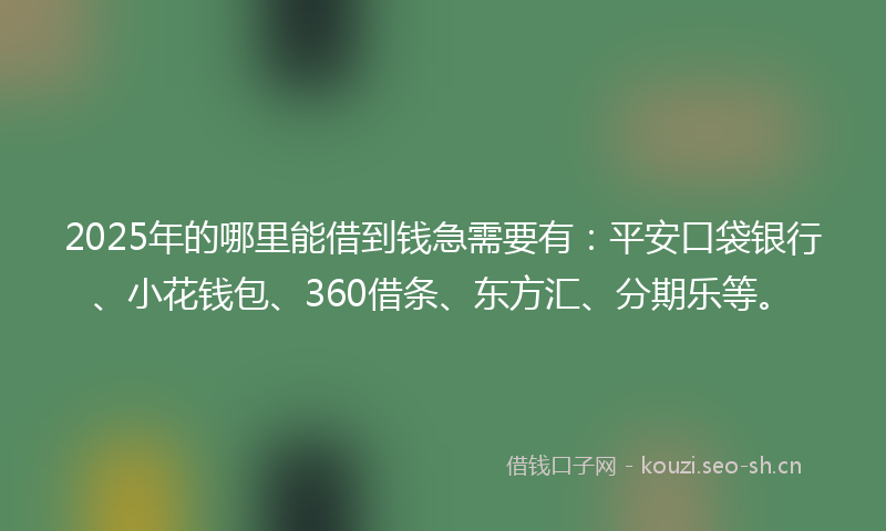 2025年的哪里能借到钱急需要有：平安口袋银行、小花钱包、360借条、东方汇、分期乐等。