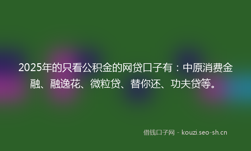 2025年的只看公积金的网贷口子有：中原消费金融、融逸花、微粒贷、替你还、功夫贷等。