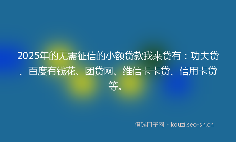 2025年的无需征信的小额贷款我来贷有：功夫贷、百度有钱花、团贷网、维信卡卡贷、信用卡贷等。