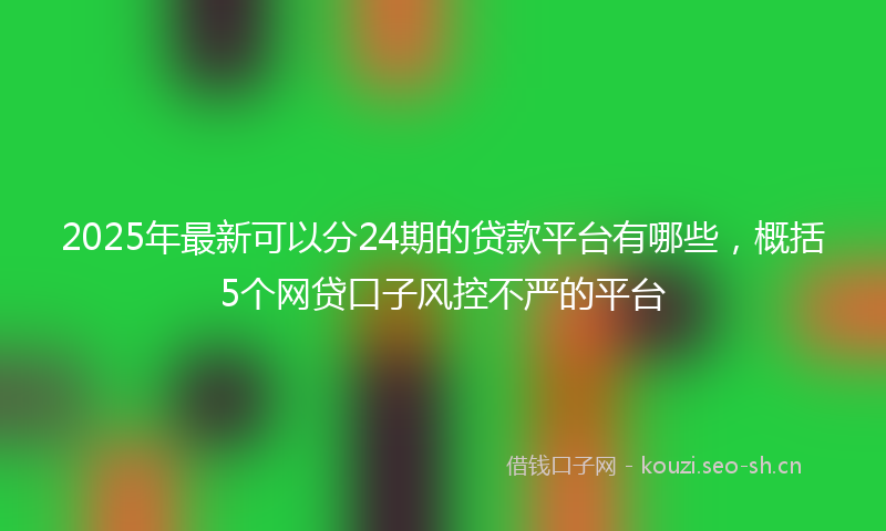 2025年最新可以分24期的贷款平台有哪些，概括5个网贷口子风控不严的平台
